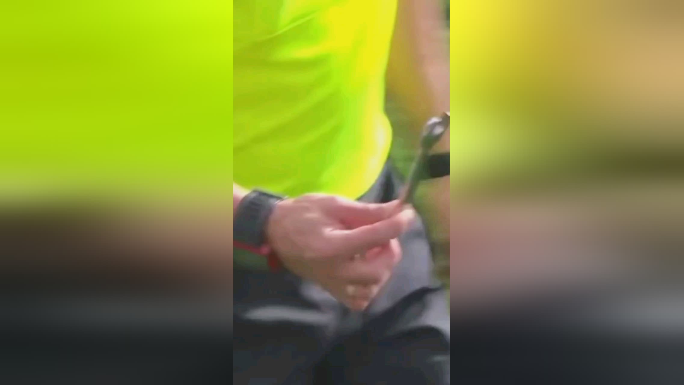 责任案例不