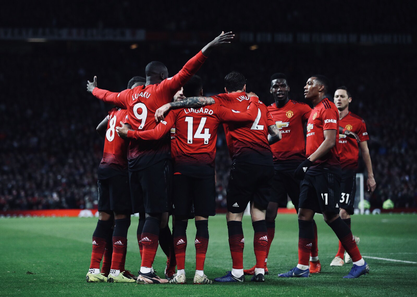 组织和精心 组织和精心